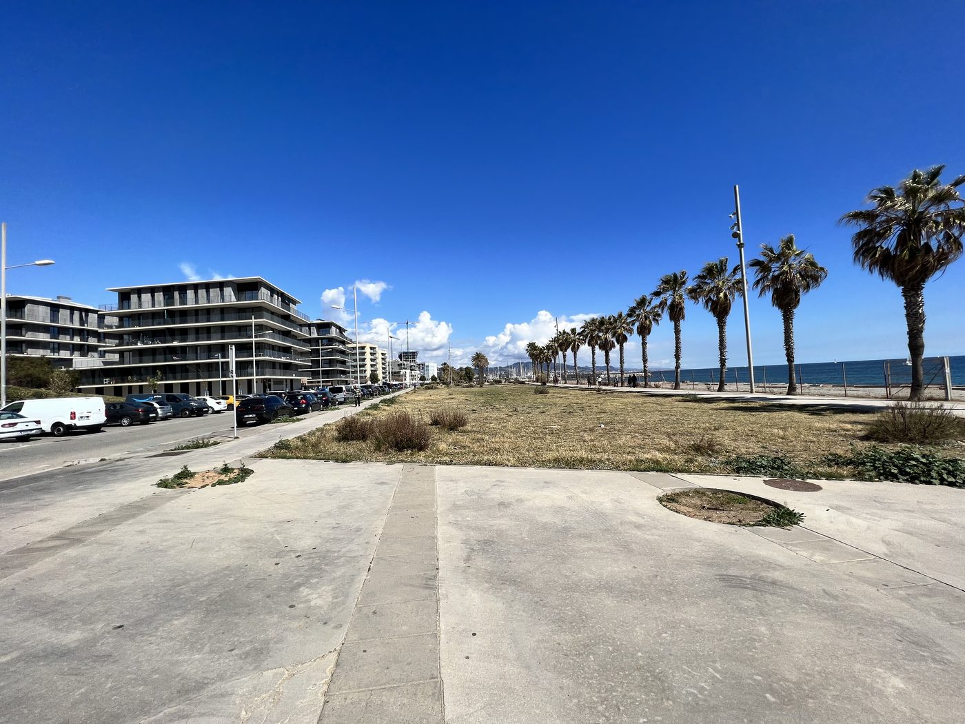 A palm-lined seafront promenade in Barcelona
